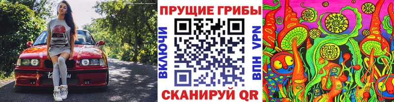 Галлюциногенные грибы Cubensis  как найти   Волосово 